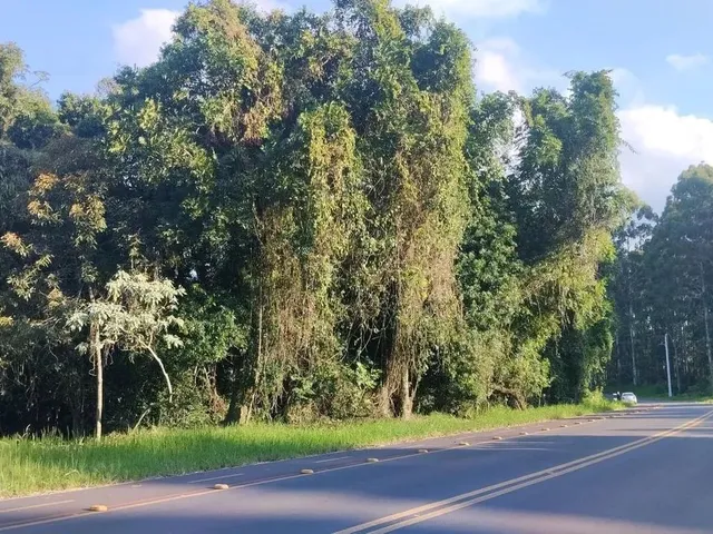 Imagem 13: Sítio / Chácara para Venda em Nova Petrópolis, Canto Ruckert
