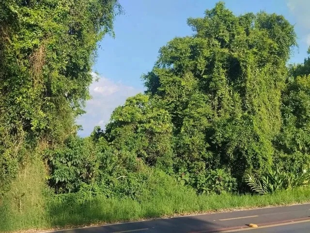 Imagem 6: Sítio / Chácara para Venda em Nova Petrópolis, Canto Ruckert