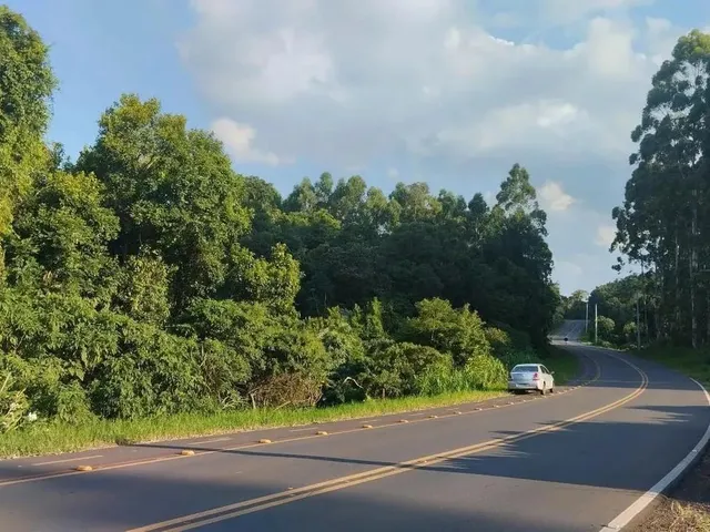 Imagem 11: Sítio / Chácara para Venda em Nova Petrópolis, Canto Ruckert