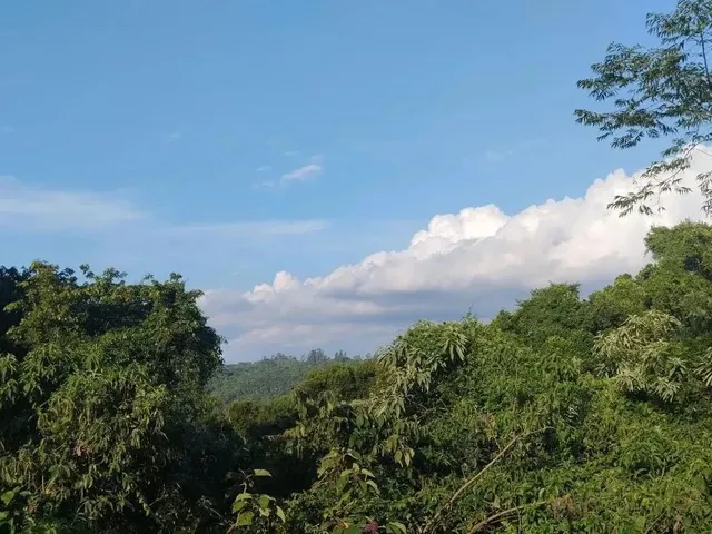 Imagem 8: Sítio / Chácara para Venda em Nova Petrópolis, Canto Ruckert