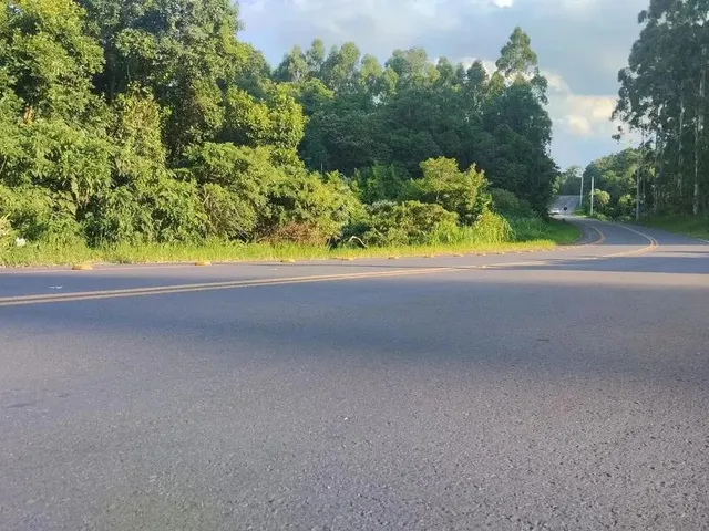 Imagem 14: Sítio / Chácara para Venda em Nova Petrópolis, Canto Ruckert