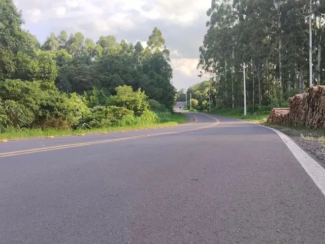 Imagem 12: Sítio / Chácara para Venda em Nova Petrópolis, Canto Ruckert