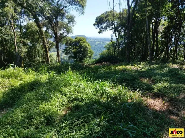 Imagem: Sítio / Chácara para Venda em Nova Petrópolis