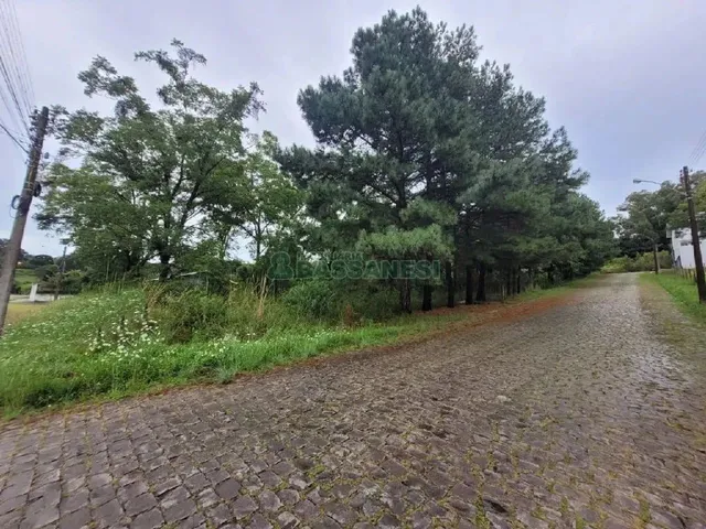 Imagem: Terreno Colina Sorriso Caxias do Sul
