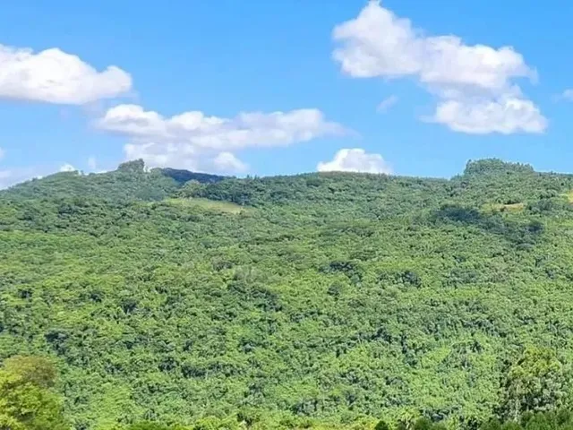 Imagem: Sítio / Chácara para Venda em Nova Petrópolis