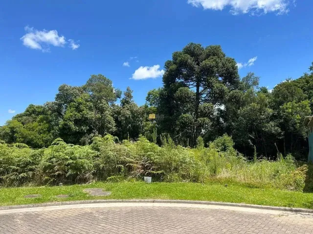Imagem 2: Lote com Projeto Pronto no Terras Altas