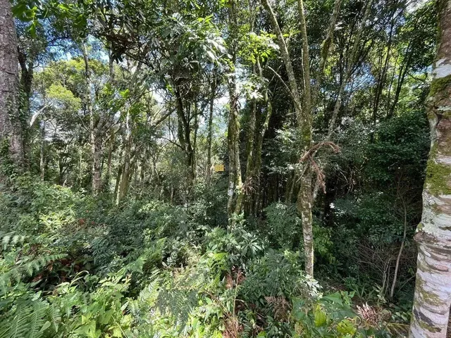Imagem 6: Lote com Projeto Pronto no Terras Altas