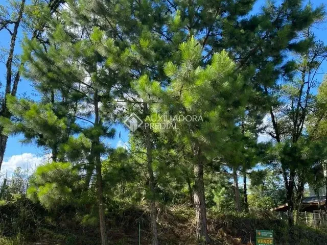 Imagem: Terreno de 430 M2 no Bairro Vivendas do