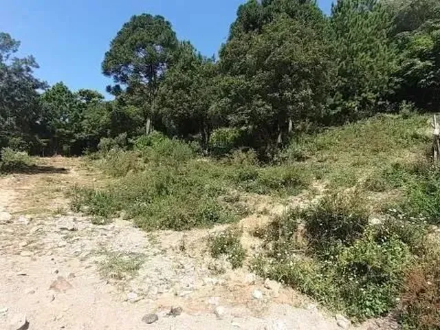 Imagem: Terreno Cidade Nova Caxias do Sul