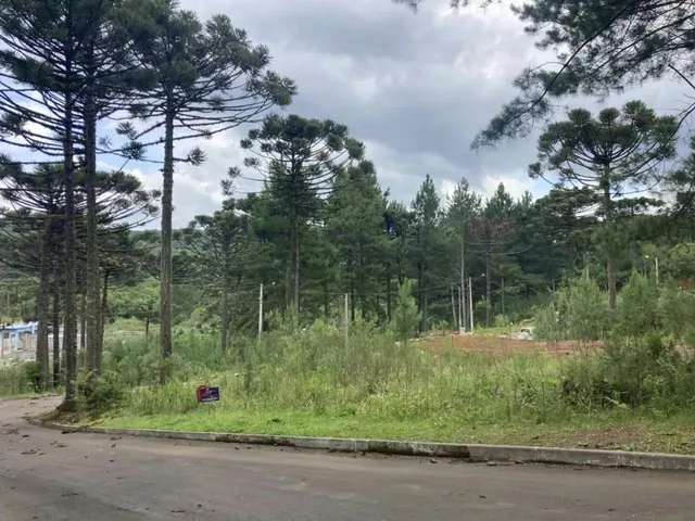 Imagem: Terreno - Bairro Dutra