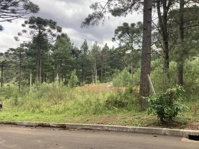 Imagem 6: Terreno - Bairro Dutra