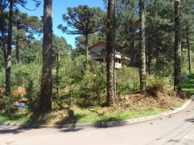 Imagem 16: Terreno - Bairro Dutra