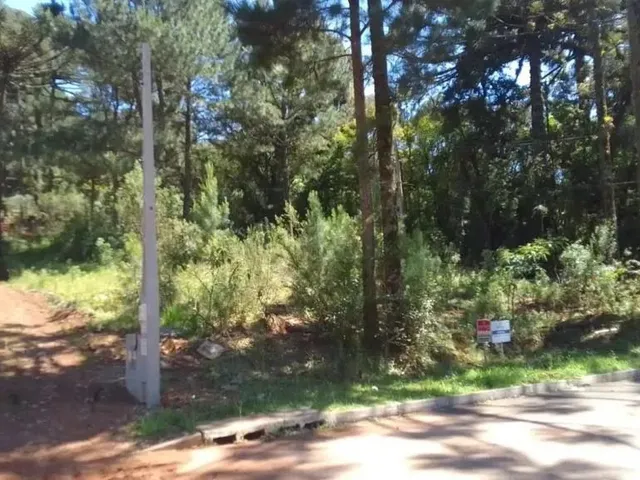 Imagem 15: Terreno - Bairro Dutra