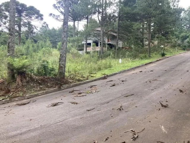 Imagem 5: Terreno - Bairro Dutra