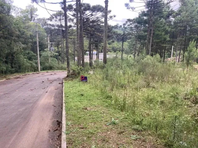 Imagem 4: Terreno - Bairro Dutra