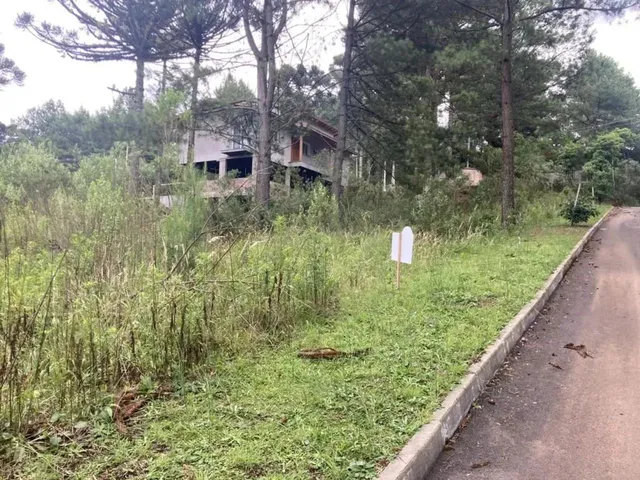 Imagem 14: Terreno - Bairro Dutra