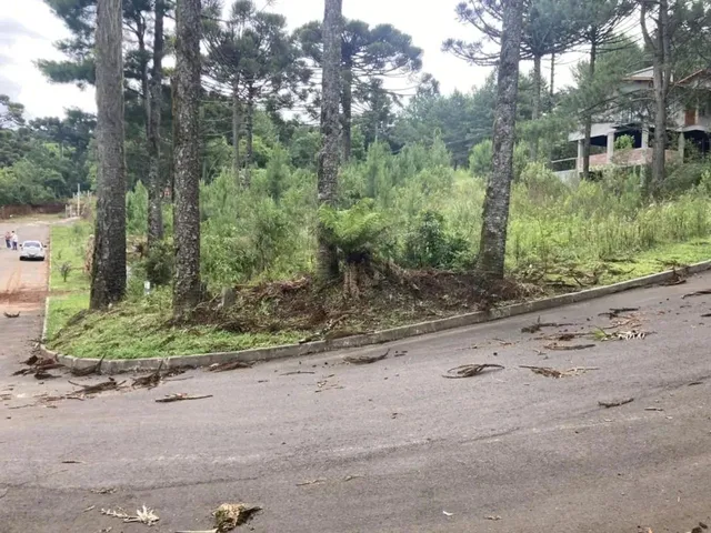 Imagem 7: Terreno - Bairro Dutra