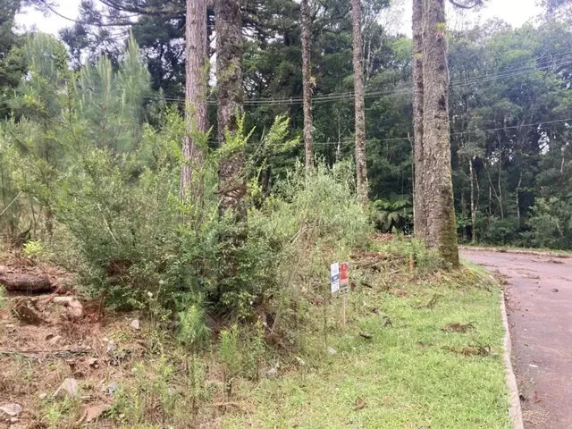 Imagem 10: Terreno - Bairro Dutra