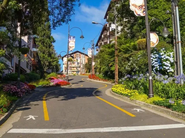 Imagem 8: Terreno - Bairro Dutra