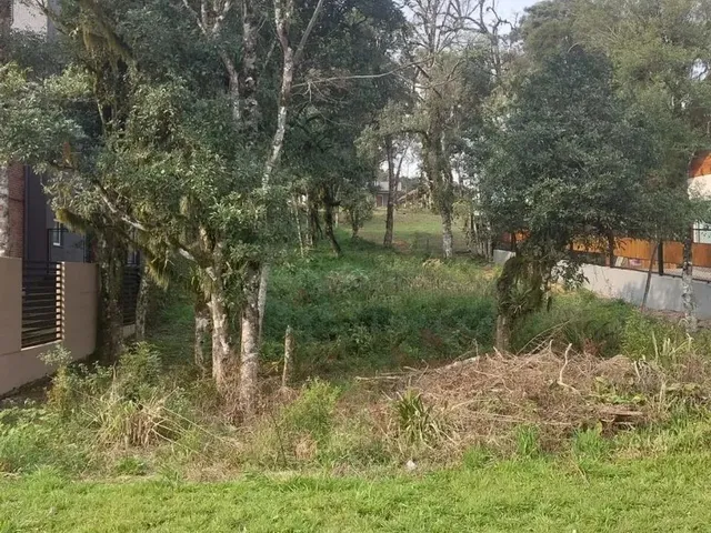 Imagem: Terreno em Gramado