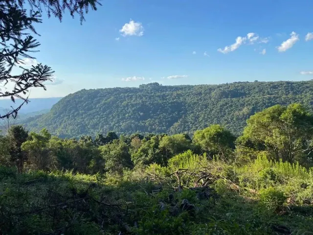 Imagem: Área Rural - Bairro Carazal