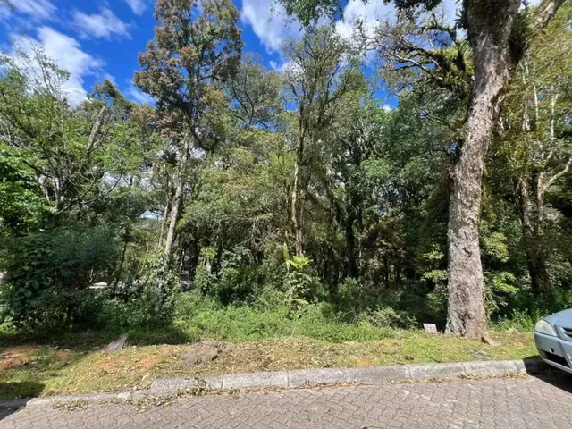 Imagem: Terreno em Condomínio - Bairro Pinheiro