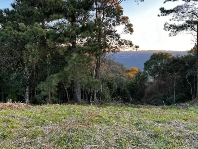 Imagem: Terreno - Bairro Vila Dante