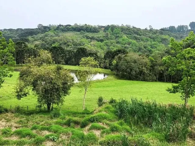 Imagem 1: Terreno para Venda em Nova Petrópolis, Linha Imperial