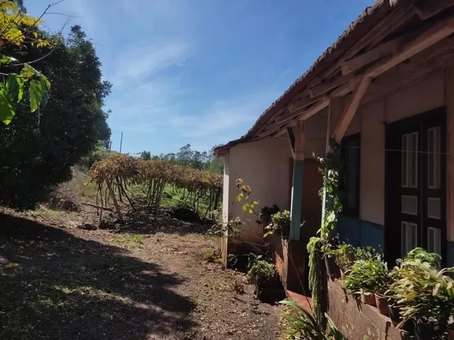 Imagem 3: Sítio / Chácara para Venda em Picada Café, Morro Hansen, 2 Dormitórios, 1 Banheiro