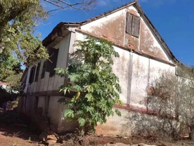 Imagem 12: Sítio / Chácara para Venda em Picada Café, Morro Hansen, 2 Dormitórios, 1 Banheiro