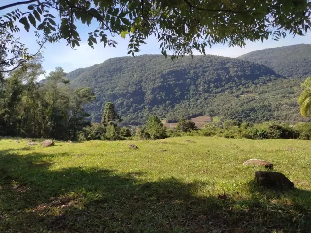Imagem 15: Sítio / Chácara para Venda em Picada Café, Morro Hansen, 2 Dormitórios, 1 Banheiro