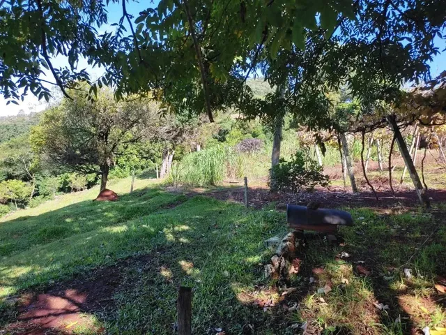 Imagem 9: Sítio / Chácara para Venda em Picada Café, Morro Hansen, 2 Dormitórios, 1 Banheiro