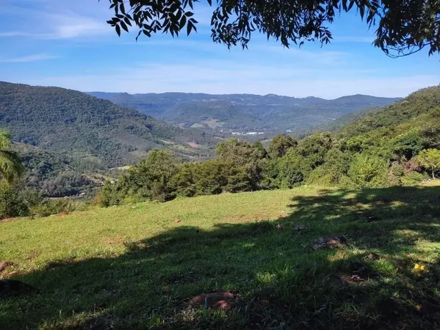 Imagem 16: Sítio / Chácara para Venda em Picada Café, Morro Hansen, 2 Dormitórios, 1 Banheiro