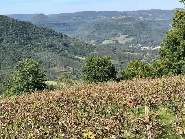 Imagem 2: Sítio / Chácara para Venda em Picada Café, Morro Hansen, 2 Dormitórios, 1 Banheiro
