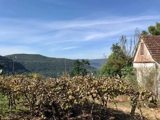 Imagem 8: Sítio / Chácara para Venda em Picada Café, Morro Hansen, 2 Dormitórios, 1 Banheiro