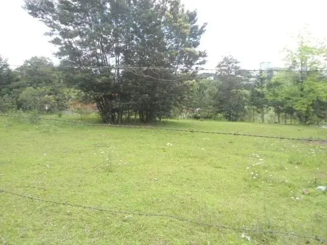 Imagem: Terreno Salgado Filho Caxias do Sul