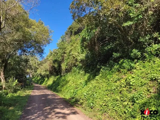 Imagem 4: Sítio / Chácara para Venda em Picada Café, Serra Verde