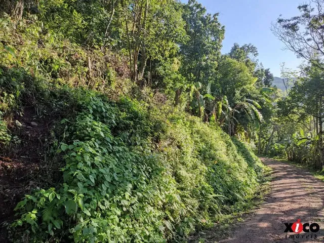 Imagem 8: Sítio / Chácara para Venda em Picada Café, Serra Verde