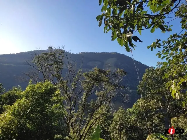 Imagem 10: Sítio / Chácara para Venda em Picada Café, Serra Verde