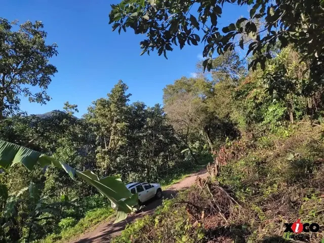 Imagem 3: Sítio / Chácara para Venda em Picada Café, Serra Verde