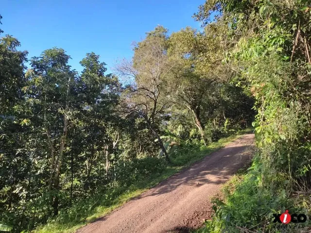 Imagem 6: Sítio / Chácara para Venda em Picada Café, Serra Verde