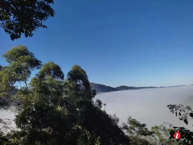 Imagem 7: Sítio / Chácara para Venda em Picada Café, Serra Verde