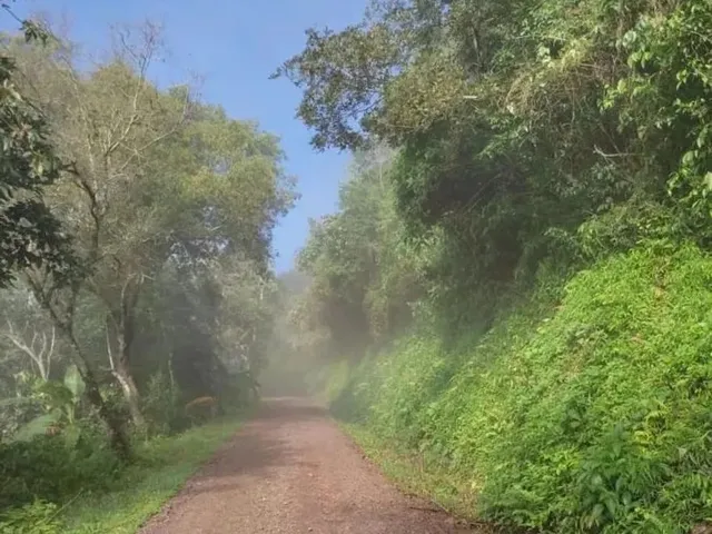 Imagem 12: Sítio / Chácara para Venda em Picada Café, Serra Verde