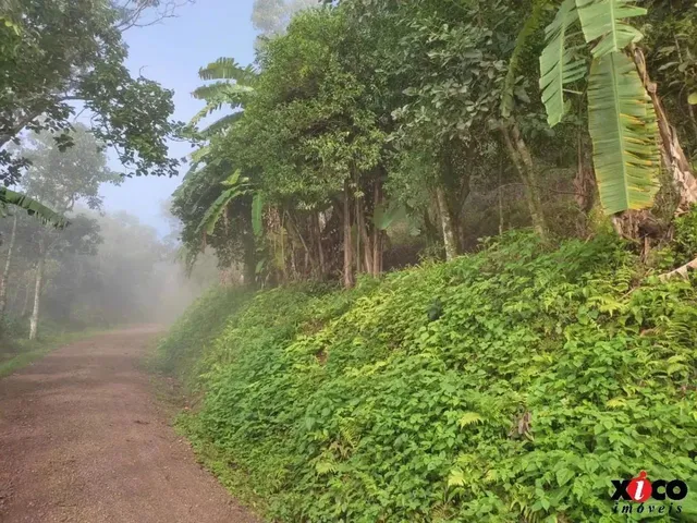 Imagem 2: Sítio / Chácara para Venda em Picada Café, Serra Verde