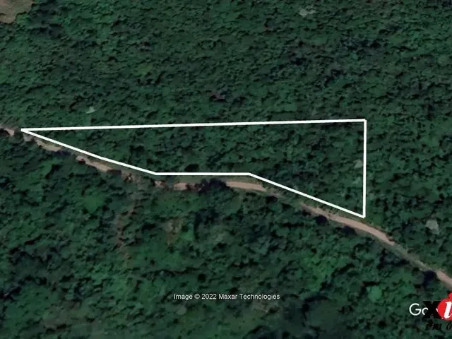 Imagem 5: Sítio / Chácara para Venda em Picada Café, Serra Verde