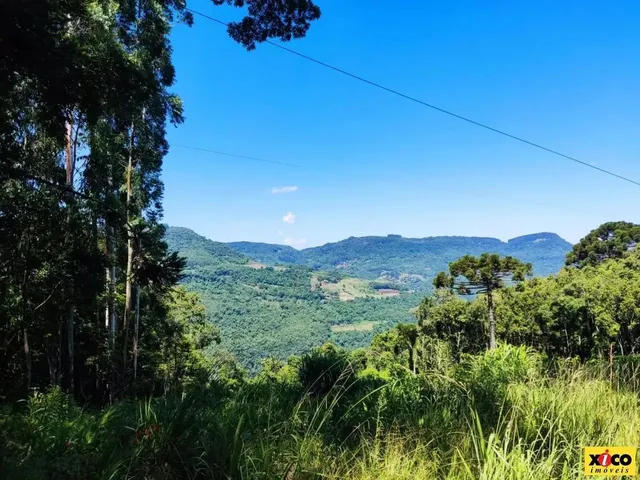 Imagem 1: Sítio / Chácara para Venda em Nova Petrópolis, Linha Brasil Fundos