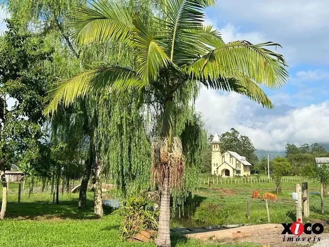 Imagem 9: Sítio / Chácara para Venda em Nova Petrópolis, Linha Temerária, 4 Dormitórios, 2