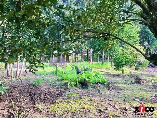 Imagem 2: Sítio / Chácara para Venda em Nova Petrópolis, Linha Temerária, 4 Dormitórios, 2