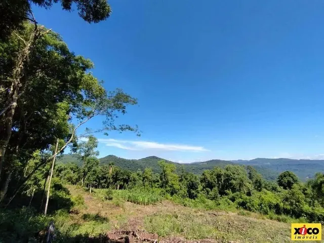 Imagem: Sítio / Chácara para Venda em Nova Petrópolis
