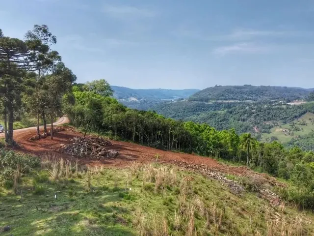 Imagem 1: Sítio / Chácara para Venda em Nova Petrópolis, Linha Brasil Fundos